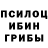 Галлюциногенные грибы прущие грибы Engin Erdal