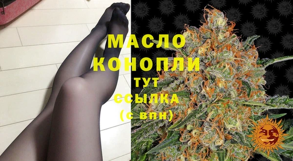 индика Краснослободск
