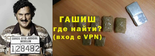 индика Краснослободск