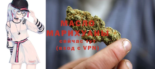 индика Краснослободск
