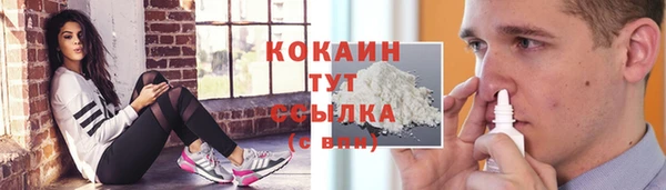 индика Краснослободск
