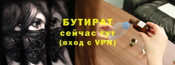 индика Краснослободск