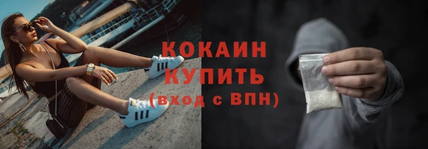 индика Краснослободск