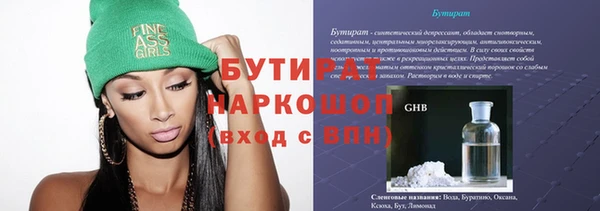 индика Краснослободск