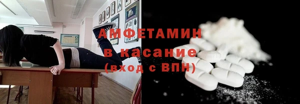 индика Краснослободск