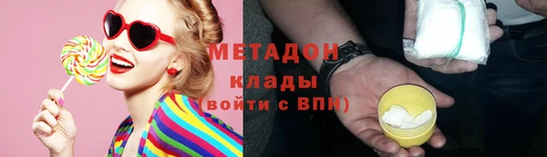 индика Краснослободск