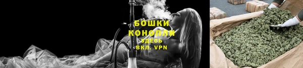 сатива Куйбышев