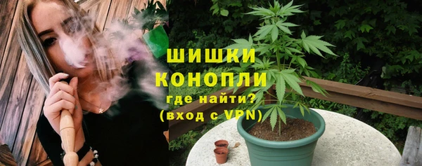 индика Краснослободск