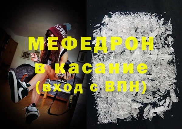 индика Краснослободск