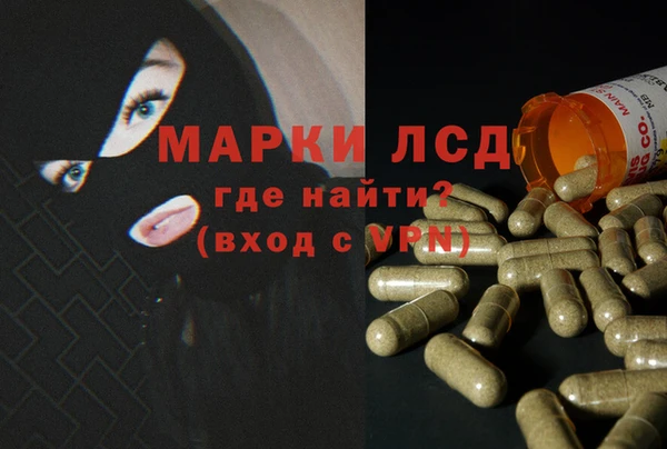 индика Краснослободск