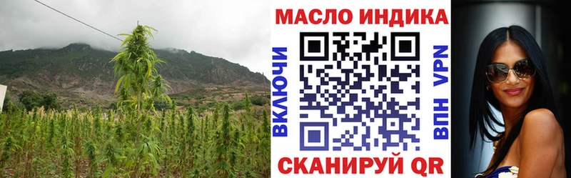 Купить закладки  Нерехта  Дистиллят ТГК Wax 