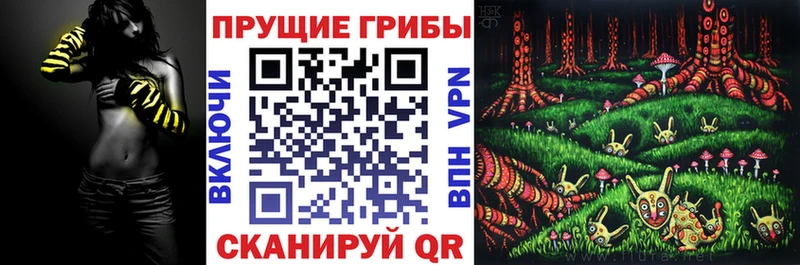 Купить  Нерехта  Галлюциногенные грибы мухоморы 